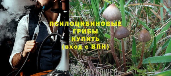 трава Переславль-Залесский