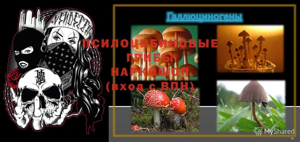 тгк Осинники