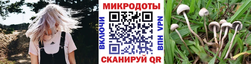 купить   гидра рабочий сайт  Псилоцибиновые грибы мицелий  Кинешма 
