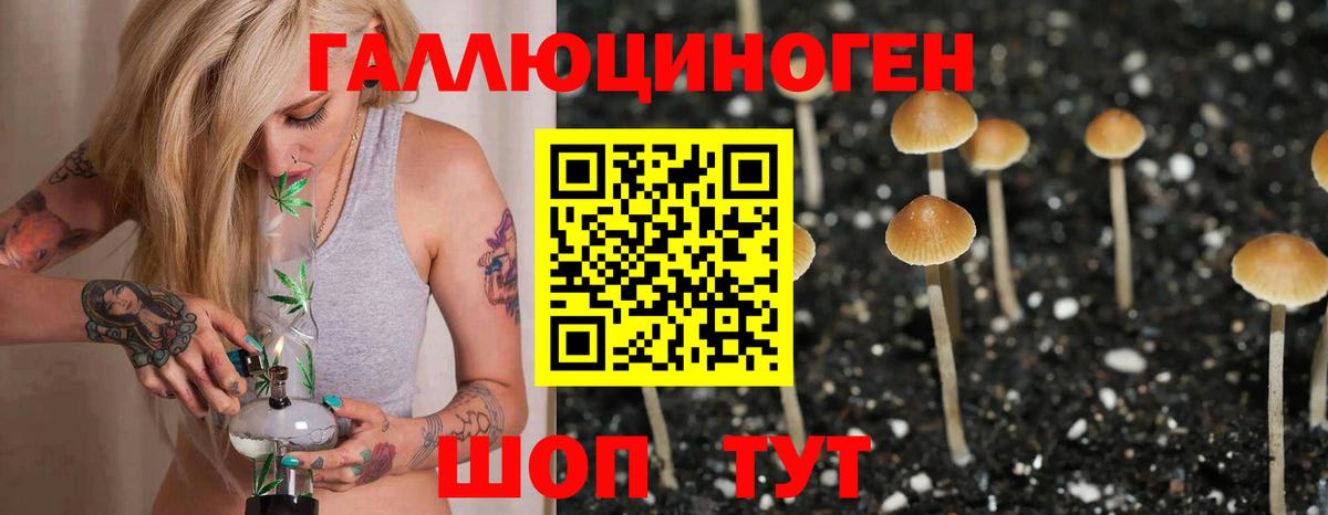Галлюциногенные грибы ЛСД Кинешма
